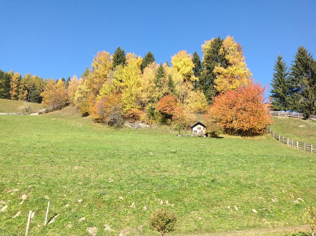 Berggasthaus Agritur Moserhof Prags Exterior foto